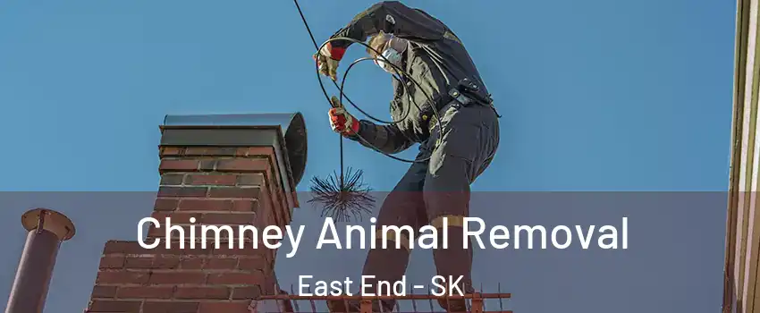  Chimney Animal Removal East End - SK