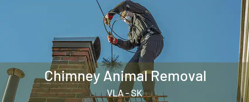  Chimney Animal Removal VLA - SK