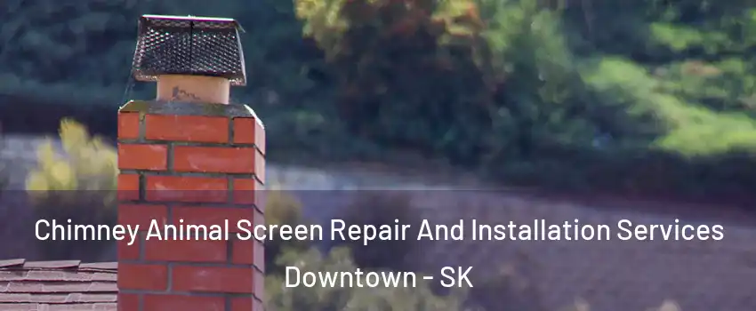  Chimney Animal Screen Repair And Installation Services Downtown - SK