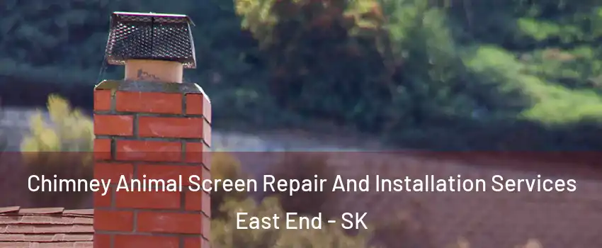  Chimney Animal Screen Repair And Installation Services East End - SK