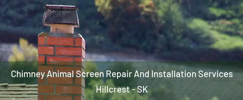  Chimney Animal Screen Repair And Installation Services Hillcrest - SK