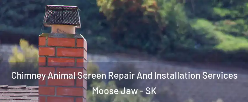  Chimney Animal Screen Repair And Installation Services Moose Jaw - SK