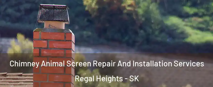  Chimney Animal Screen Repair And Installation Services Regal Heights - SK
