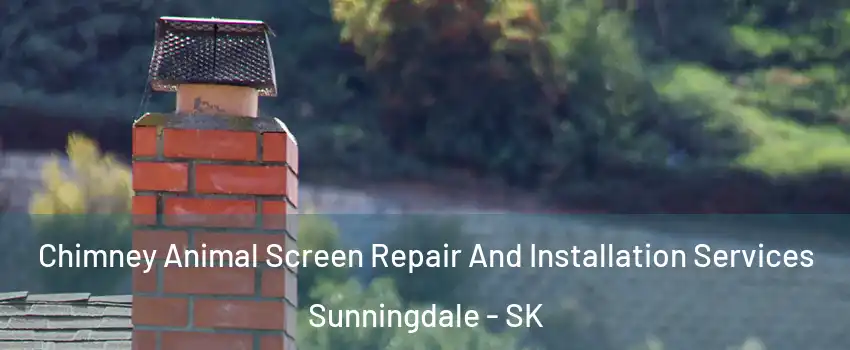  Chimney Animal Screen Repair And Installation Services Sunningdale - SK