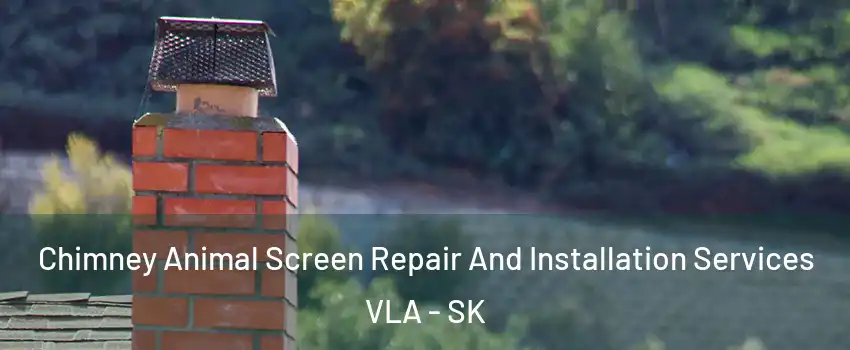  Chimney Animal Screen Repair And Installation Services VLA - SK