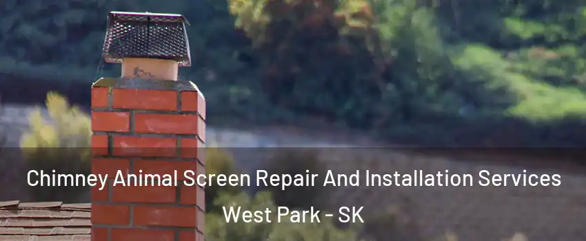  Chimney Animal Screen Repair And Installation Services West Park - SK