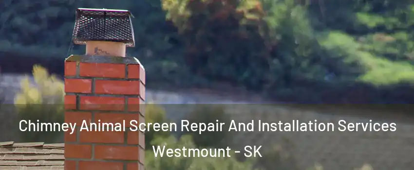  Chimney Animal Screen Repair And Installation Services Westmount - SK
