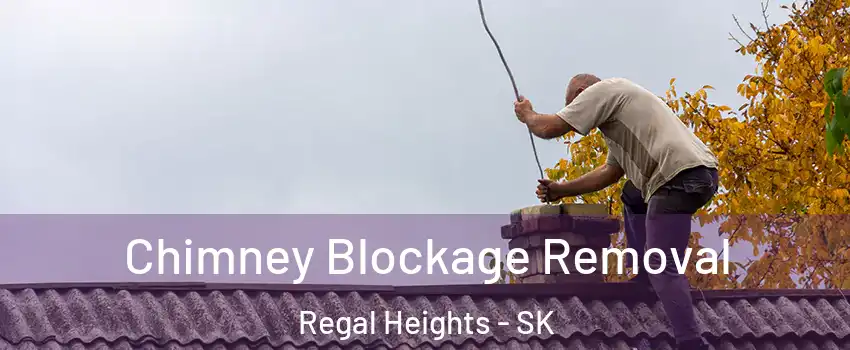  Chimney Blockage Removal Regal Heights - SK