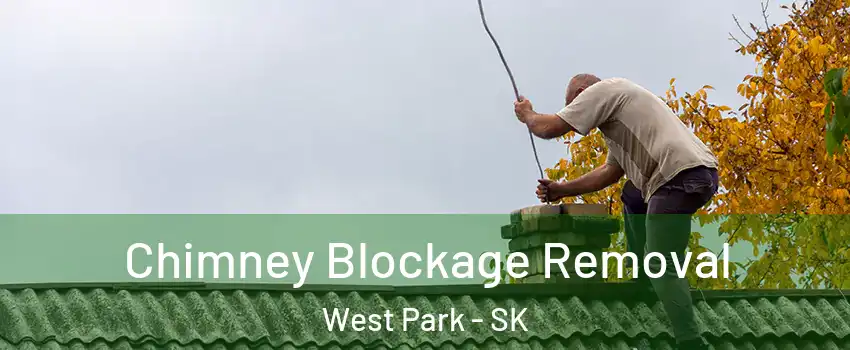  Chimney Blockage Removal West Park - SK