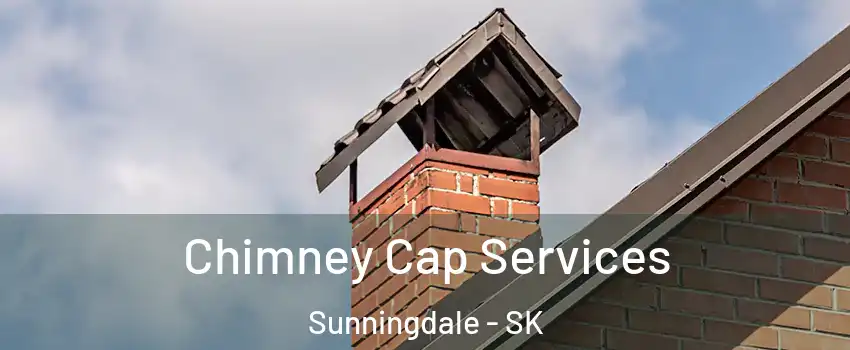  Chimney Cap Services Sunningdale - SK