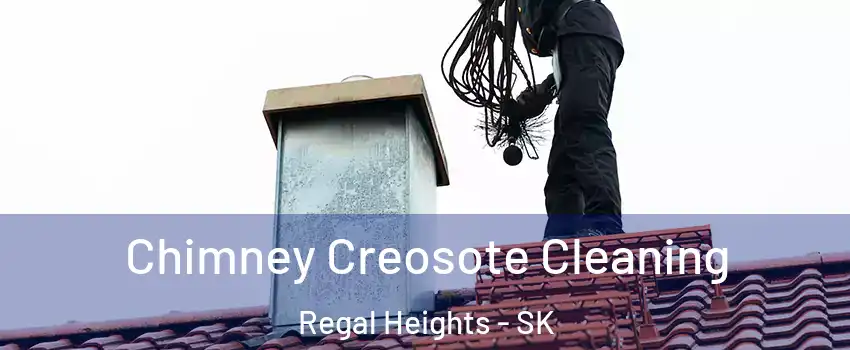  Chimney Creosote Cleaning Regal Heights - SK