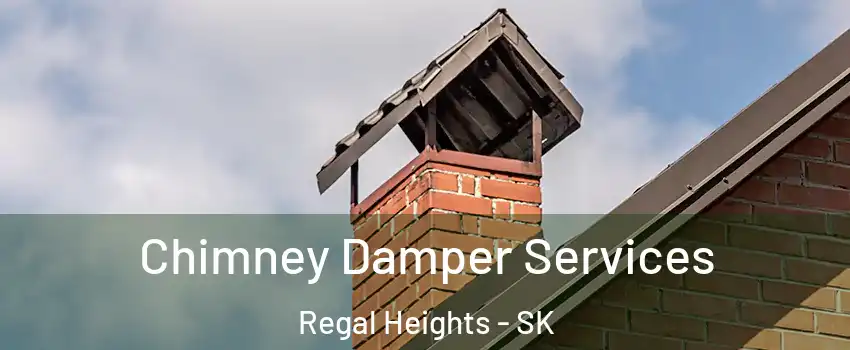  Chimney Damper Services Regal Heights - SK