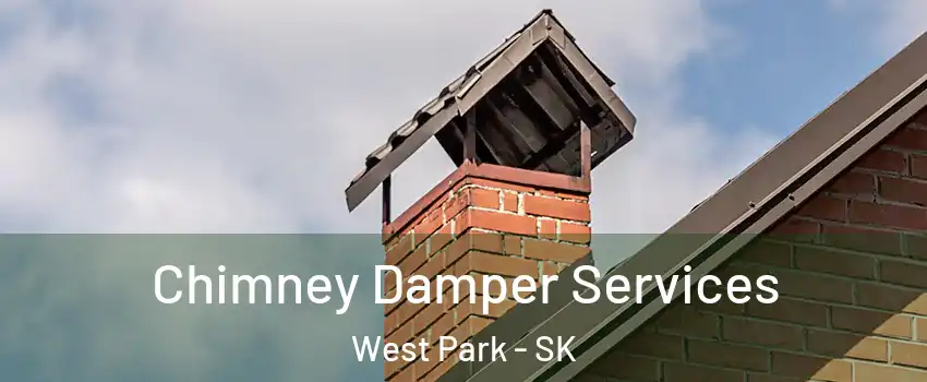  Chimney Damper Services West Park - SK