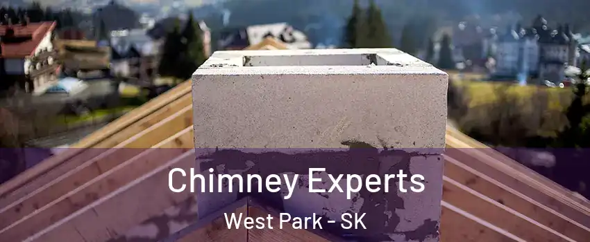  Chimney Experts West Park - SK