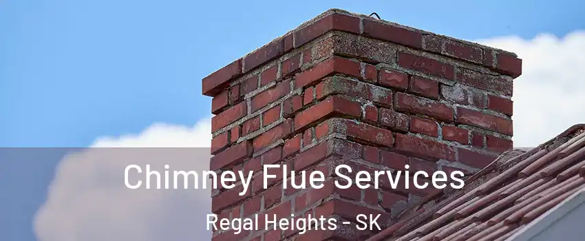  Chimney Flue Services Regal Heights - SK