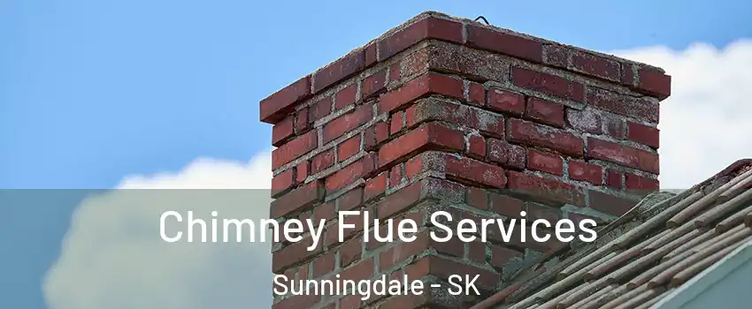  Chimney Flue Services Sunningdale - SK