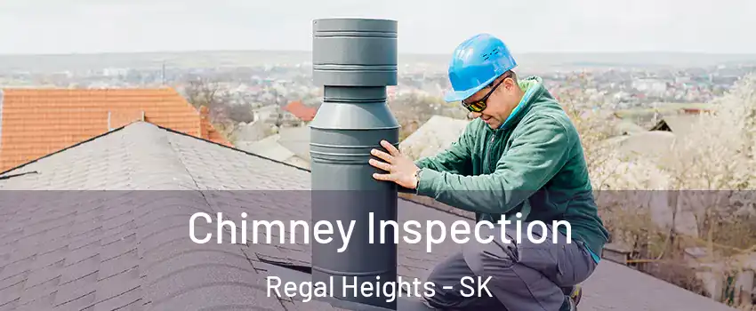 Chimney Inspection Regal Heights - SK