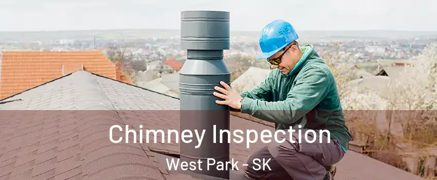  Chimney Inspection West Park - SK