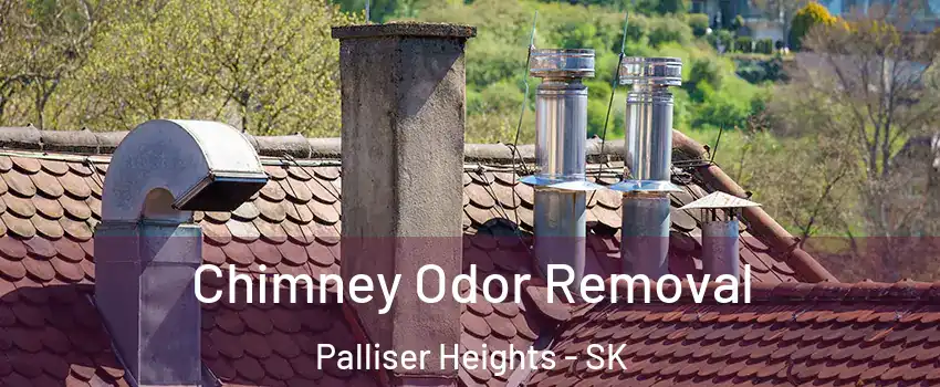  Chimney Odor Removal Palliser Heights - SK