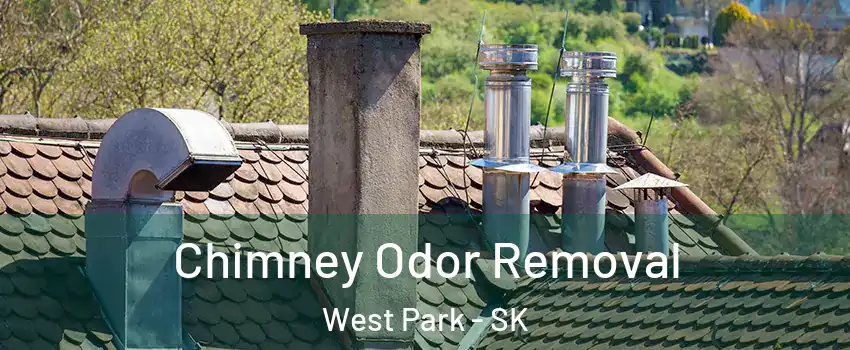  Chimney Odor Removal West Park - SK