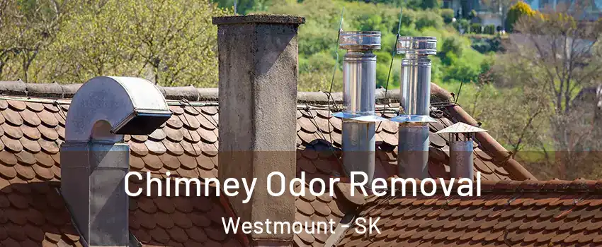  Chimney Odor Removal Westmount - SK