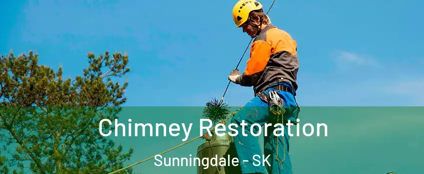  Chimney Restoration Sunningdale - SK