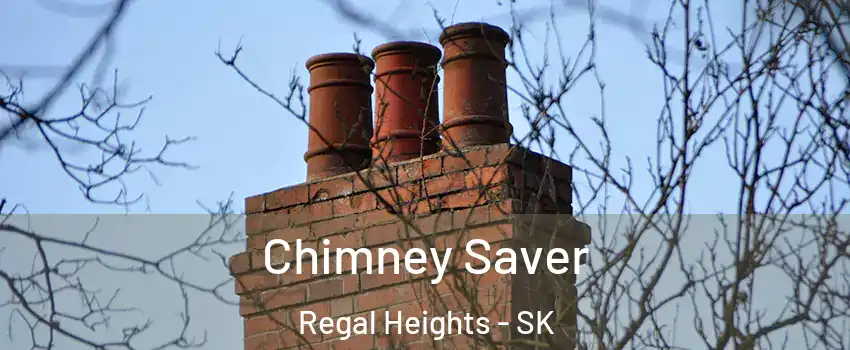  Chimney Saver Regal Heights - SK