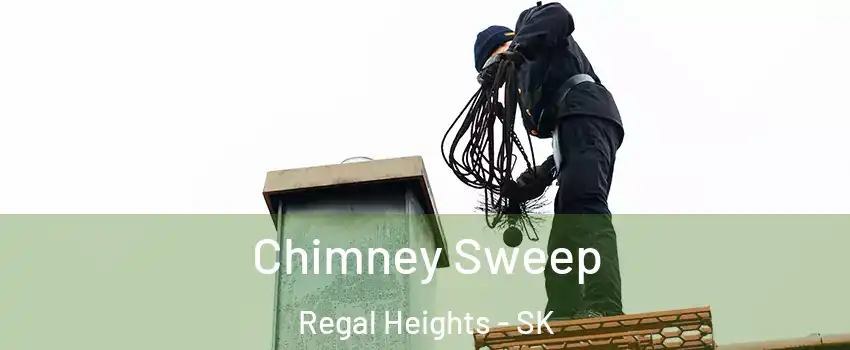  Chimney Sweep Regal Heights - SK