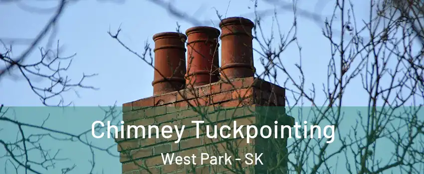  Chimney Tuckpointing West Park - SK