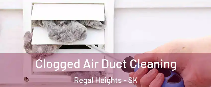  Clogged Air Duct Cleaning Regal Heights - SK