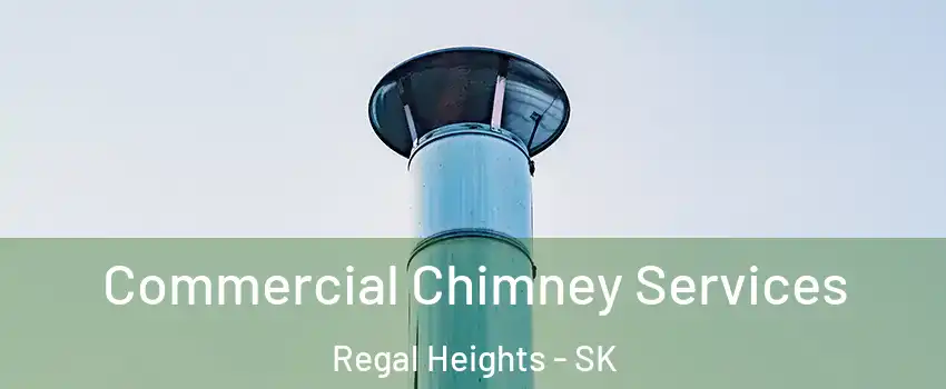  Commercial Chimney Services Regal Heights - SK