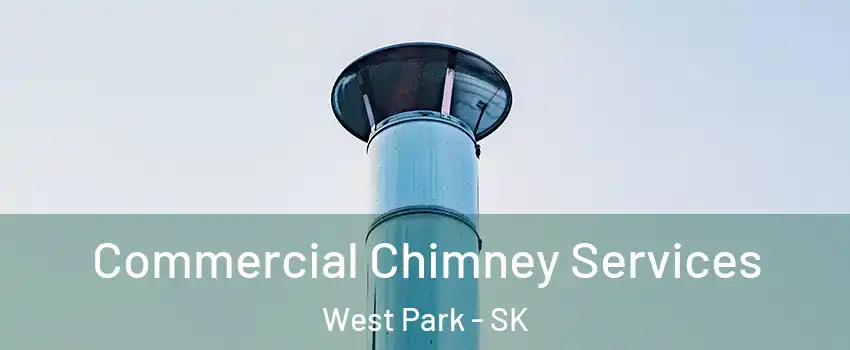  Commercial Chimney Services West Park - SK