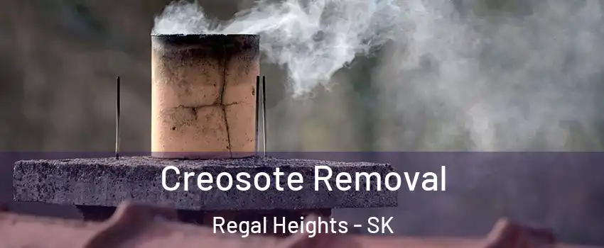  Creosote Removal Regal Heights - SK