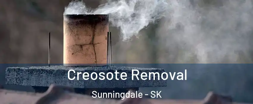  Creosote Removal Sunningdale - SK