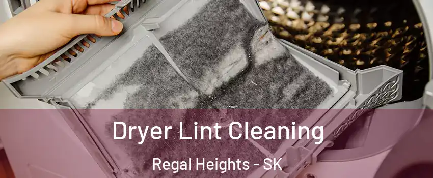  Dryer Lint Cleaning Regal Heights - SK