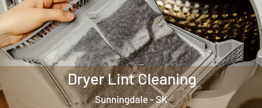  Dryer Lint Cleaning Sunningdale - SK