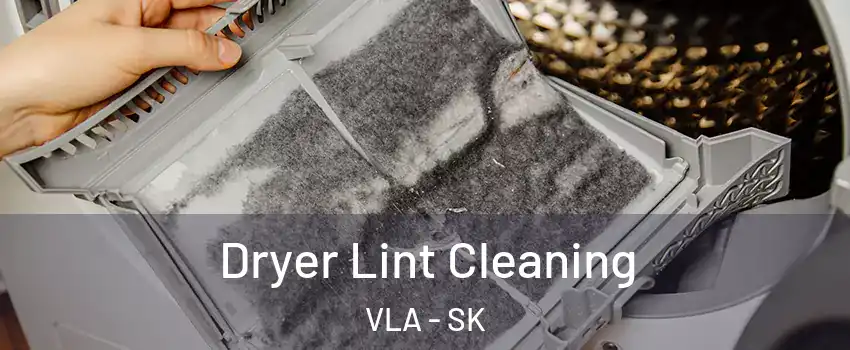  Dryer Lint Cleaning VLA - SK