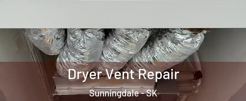  Dryer Vent Repair Sunningdale - SK