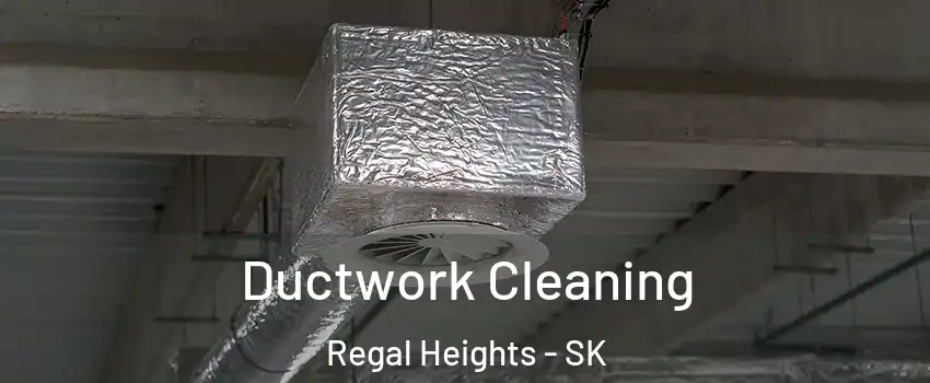  Ductwork Cleaning Regal Heights - SK