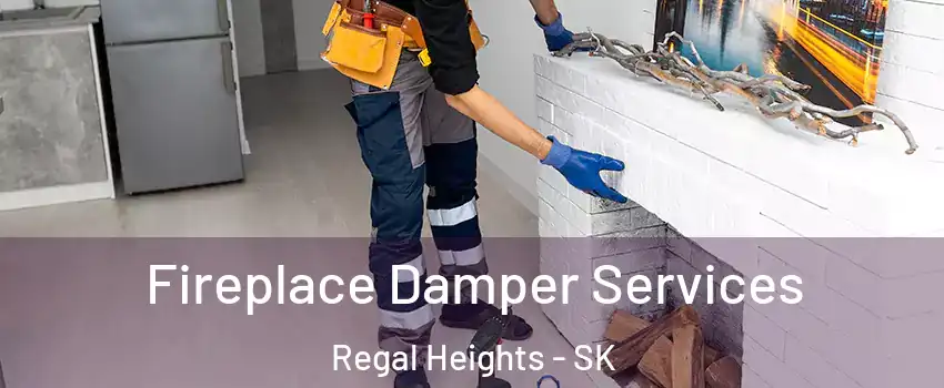  Fireplace Damper Services Regal Heights - SK