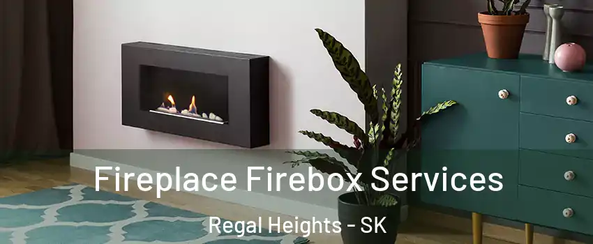  Fireplace Firebox Services Regal Heights - SK