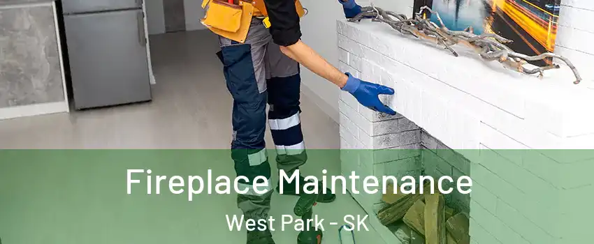  Fireplace Maintenance West Park - SK
