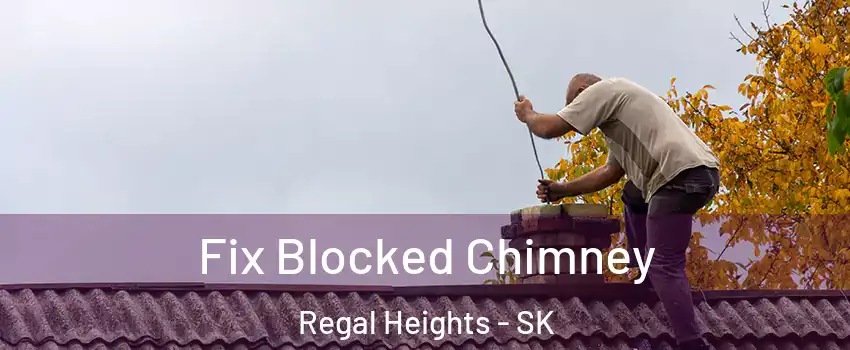  Fix Blocked Chimney Regal Heights - SK