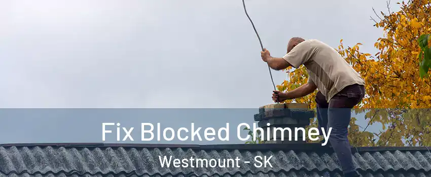  Fix Blocked Chimney Westmount - SK