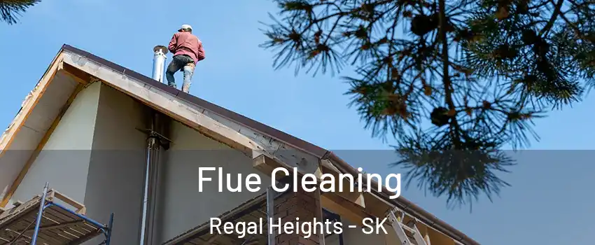  Flue Cleaning Regal Heights - SK