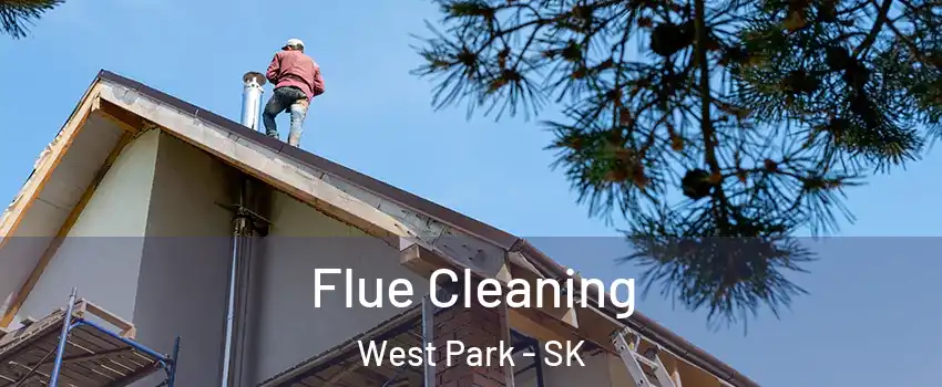  Flue Cleaning West Park - SK
