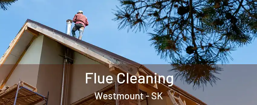  Flue Cleaning Westmount - SK