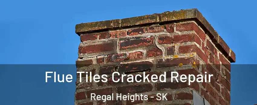  Flue Tiles Cracked Repair Regal Heights - SK