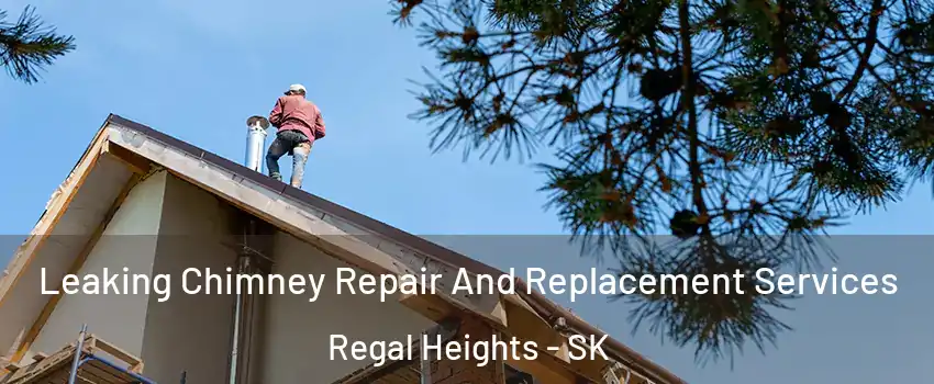  Leaking Chimney Repair And Replacement Services Regal Heights - SK