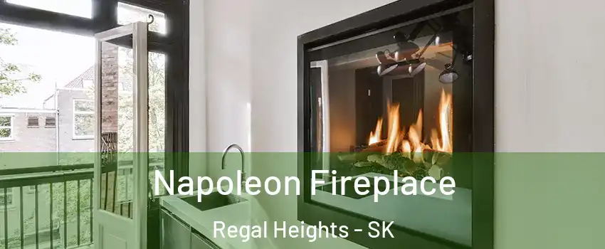  Napoleon Fireplace Regal Heights - SK